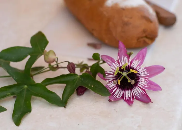 Lägenhet Virginia Studio 3